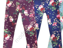 ���. 16808G.jpg