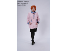 ������ 2300���.JPG