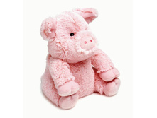 �������**������ ��������� ���� 1145 �