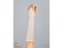 039 an42017-00007.jpg