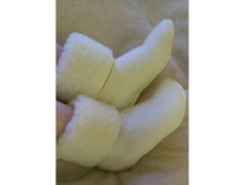 ������� �������