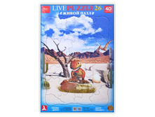 ����� � ����� ����� 4D ���� (26) - 61 �..jpg