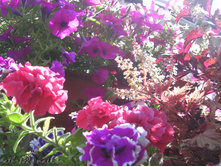 DSCN4921.JPG