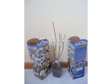 ������ ���� ��������� � �������160.00 ���