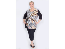 ������ V348.2