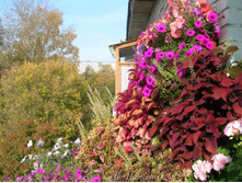 DSCN5185-1.JPG