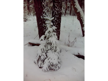 IMG 20151120 120543.jpg