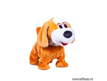 ��� ������: 18139 ������� 20 ��. (� ������.) (�������, ���, ������.