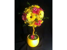 �������� � ���������