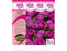 ���� ���������� � �������    180�