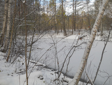 DSCN3284s.JPG