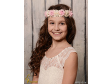 IPT2014-00007 IPT2-014  250�.