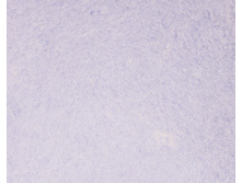 AR*T DE*SIGN 26*9.jpg