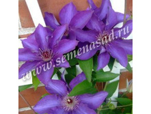 �������� ��������������� ��������� � ������.jpg