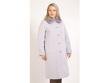 131526	������ ����