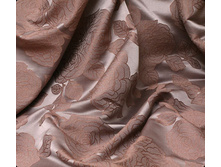 ����� ���� ���������� ���������