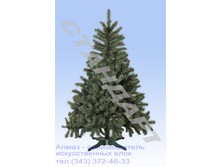 ��� "��������" ������� ��� �̣���, ������� ������ 70 ��