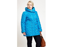 222061	������ ����