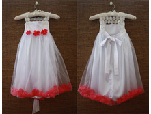 ������ ����� ��������