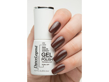 Dance Legend ����-��� 037 Choco