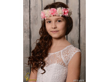 IPT2005-00007 IPT2-005  250�.