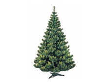 ��� ����-�� �� �������� �������� ���� �������.jpg