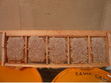 ������� ���� � ���������.JPG