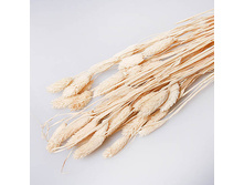 ���������. ������� 70 ��. ����� 100318 180�.jpg