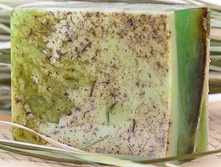 ��������� ����.