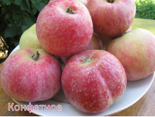 ������ ���������-350�.jpg