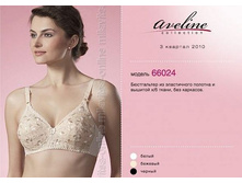 AVE ����.66024 ���.������.