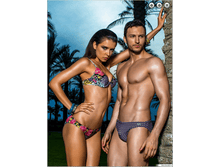 ��������� ������� WD061405 Swell.png