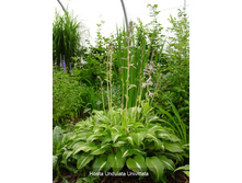 �������� ���������� (No4)