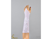 066 an42034-00016.jpg