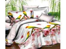 ������ ���.jpg