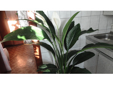 ����������� �������� -3000 - 3400 ���.