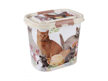 ��������� ��� ����� 10�.Cats 240�.jpg