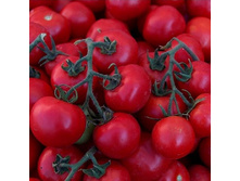 ����� ���������� ��.��� 12,00 ���..jpg