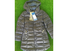 ������ ������