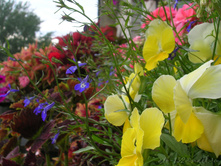 DSCN3719.JPG