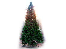 ��� "��������" ������� ��� �̣���, ������� ������ 100 ��