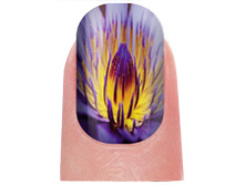 ��������� ������� ������ �� ���� ������ № �124-47 ���.jpg