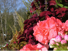 DSCN5202.JPG