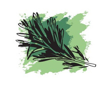 �������� ���������