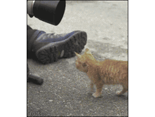 � �����ӣ�!