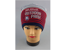 Image455.png