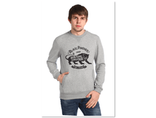 Big cat 4f29dd3b78914419ad097cdc87b92470.png