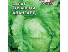 Salat awangard SDK-149-22-ru.jpg