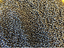 ������� "��������� ޣ����", ���� �� 60 ��.-135 ���.+���.%