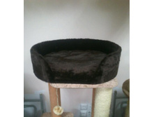 ������� "�������"